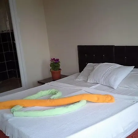 Tatvan 3* Istanbul